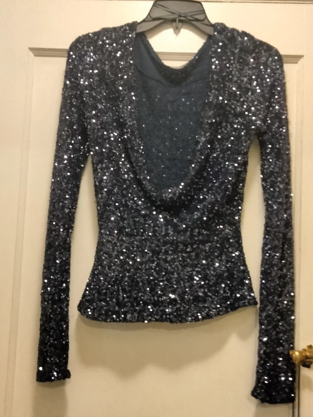 NWOT Size S Intimately Free People Leading The Way Long Sleeve Sequin Top